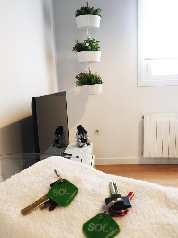 Apartamento Atico En Puerta Del Sol Madri